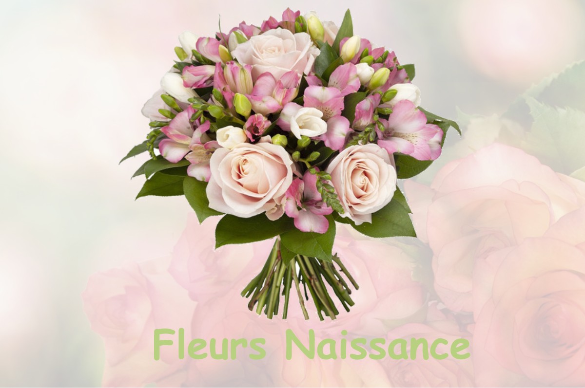 fleurs naissance CEPOY