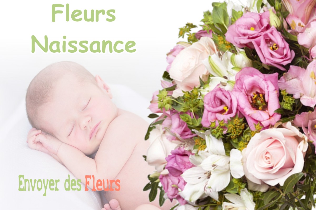 lIVRAISON FLEURS NAISSANCE à CEPOY